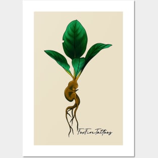 ‘Sprout’ baby Mandrake root Posters and Art